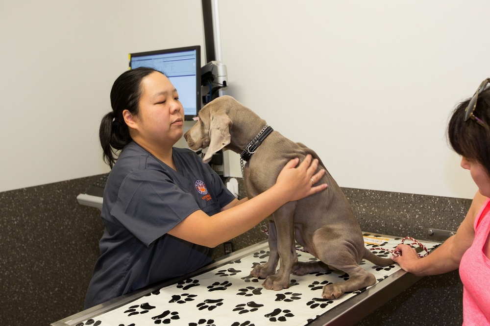 Health check at Noahs Crossing Vet Clinic