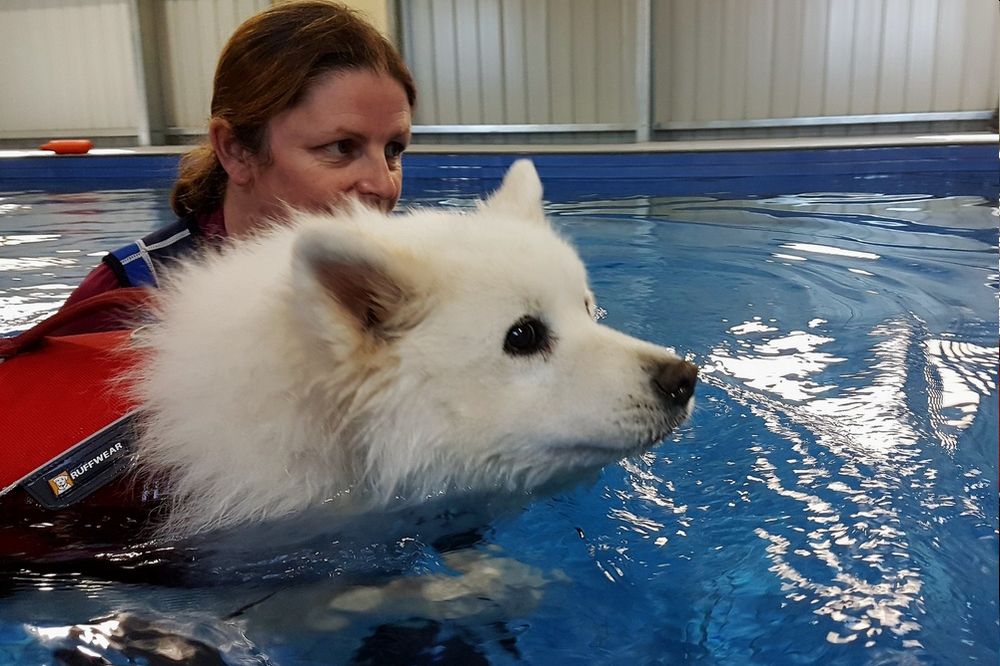 Rehabilitation & Hydrotherapy