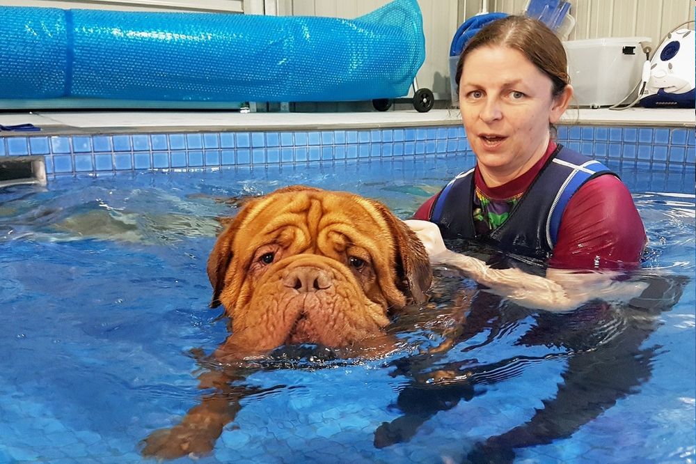 Rehabilitation & Hydrotherapy