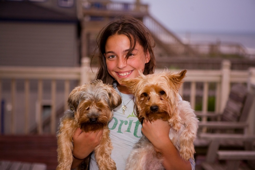 Puppies
