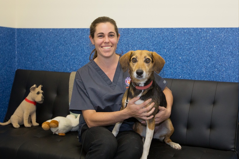 Vets at Noahs Crossing Vet Clinic