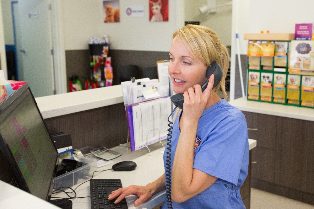 Nurses at Noahs Crossing Vet Clinic